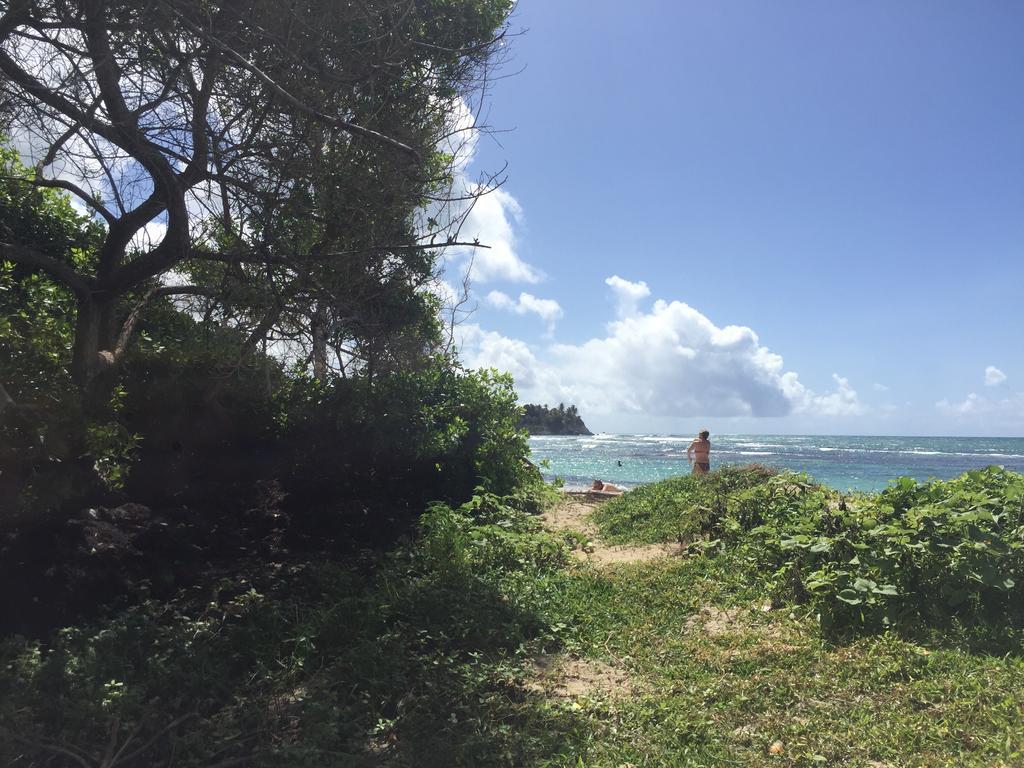 Appartement location guadeloupe à Le Gosier  Extérieur photo